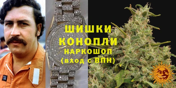 прущие грибы Алзамай