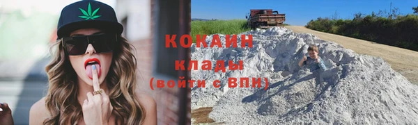 шишки Абаза