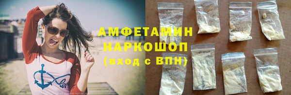 прущие грибы Алзамай