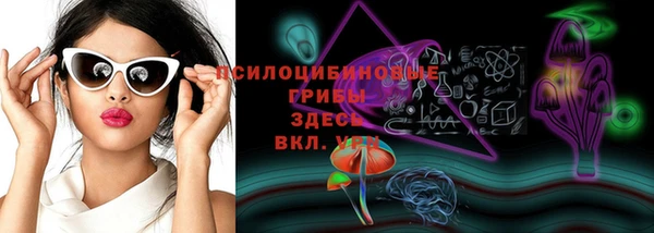 тгк Абдулино