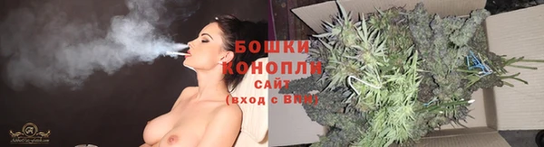 прущие грибы Алзамай