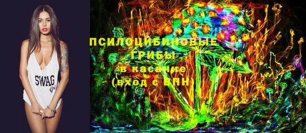 прущие грибы Алзамай